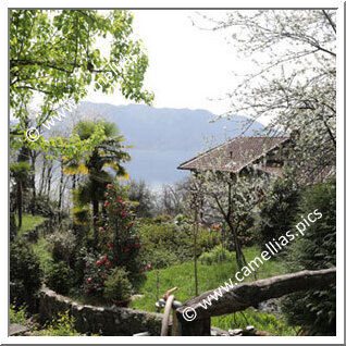 Jardin Privé -  Vue sur le lac Majeur à Oggebbio (VB)