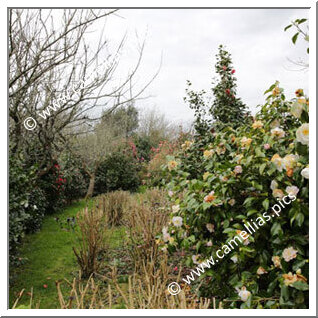 Private Garden - In the Finistère