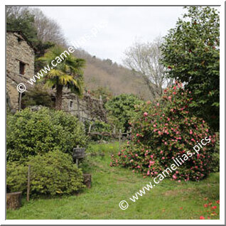 Jardin Privé - Au bord du lac Majeur, à Cannero Riviera (VB)