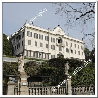 Villa Carlotta (Tremezzina - CO)