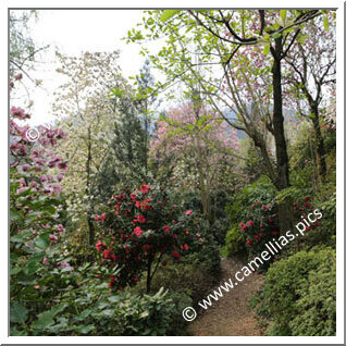 Parco Botanico del Gambarogno (San Nazzaro)