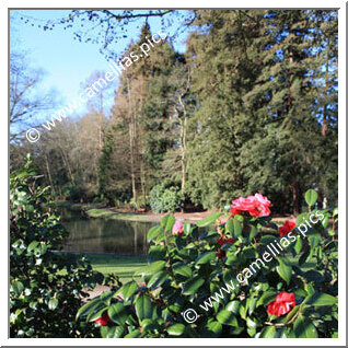 Parc de la Gaudinière (Nantes)