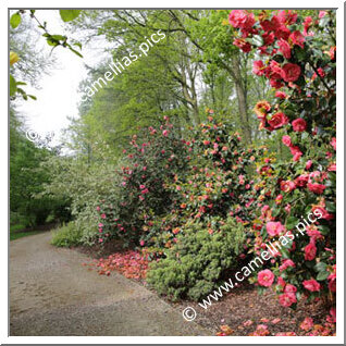 Arboretum Het Leen (Eeklo)