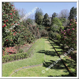 Terra Nostra Garden (Furnas, São Miguel, Açores)